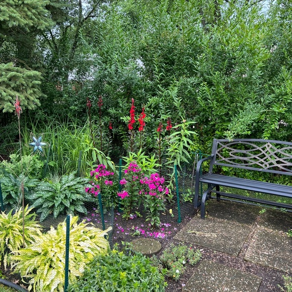 Meet your Posher, Sandra - Picture 13 of 13